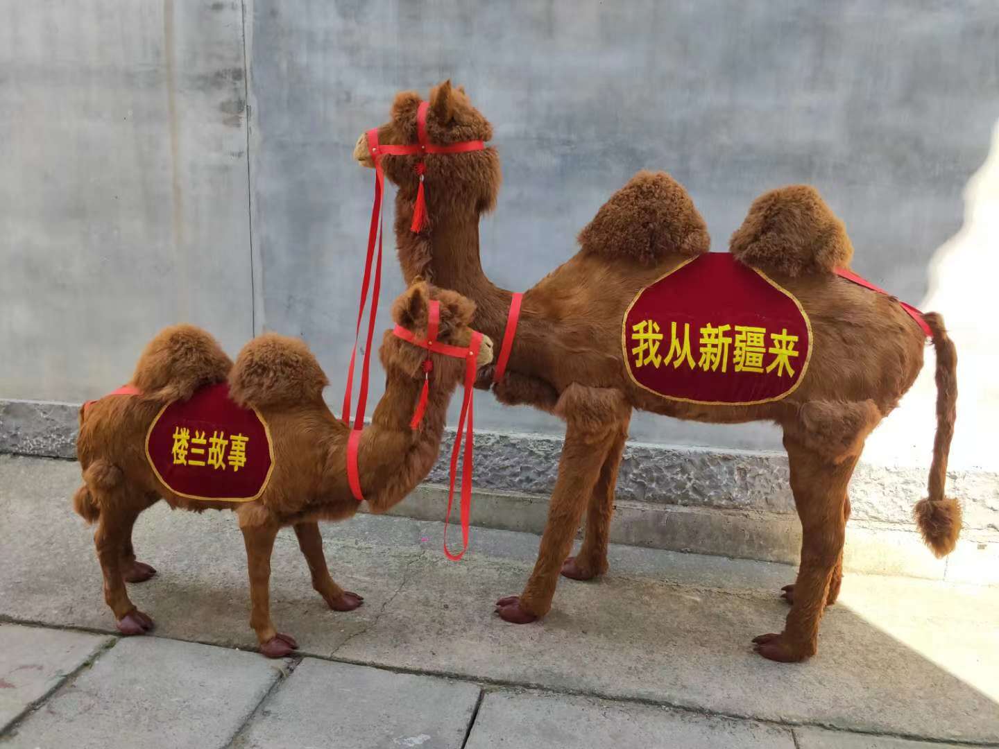 广州仿真骆驼 