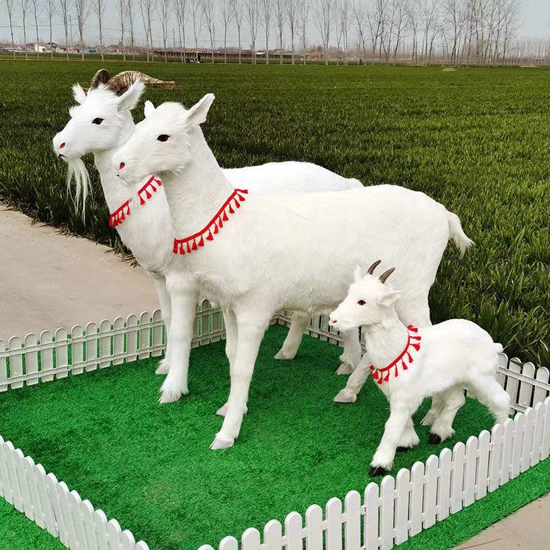羊模型